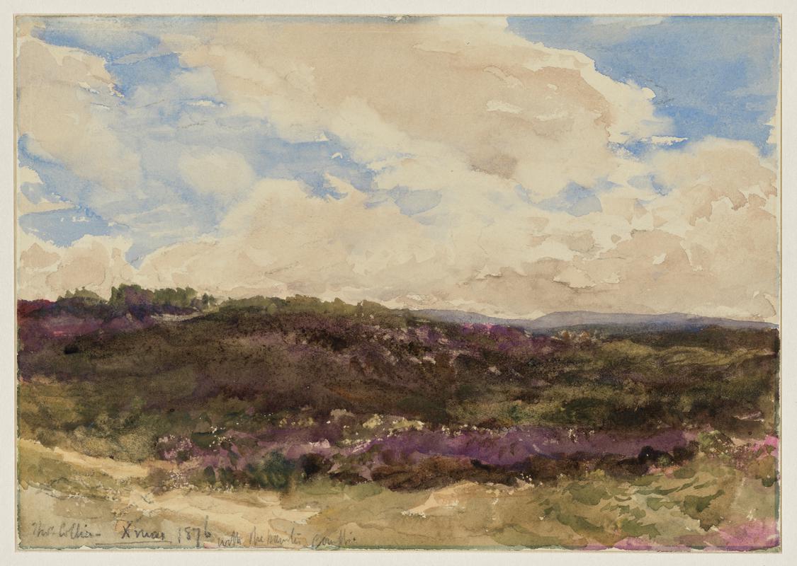 The Purple Heath