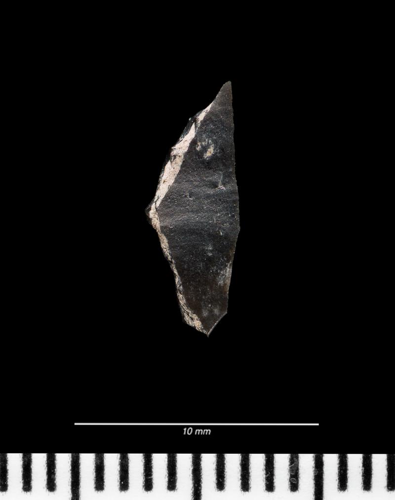 Mesolithic flint microlith