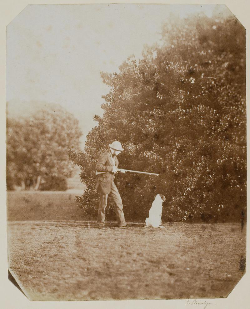 Sportsman and dog, Penllergare