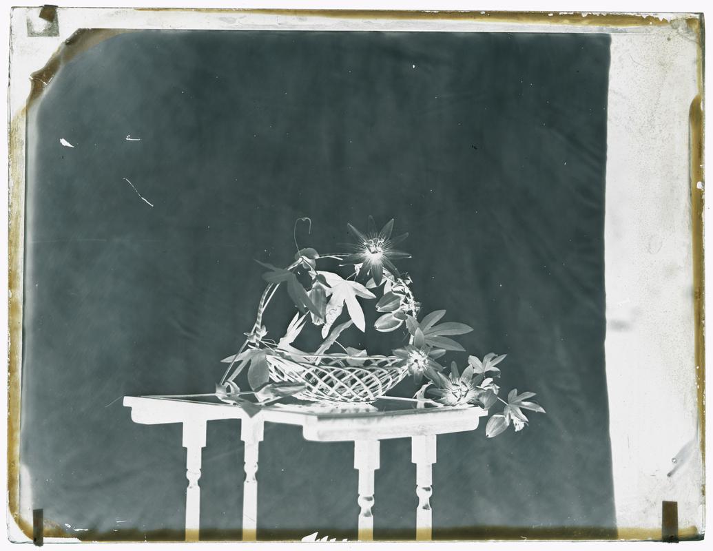 Flowers on a table, glass negative