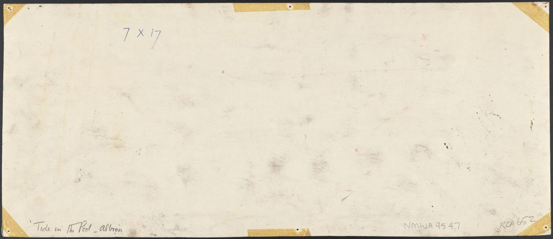 Tide in the Pool, Albion