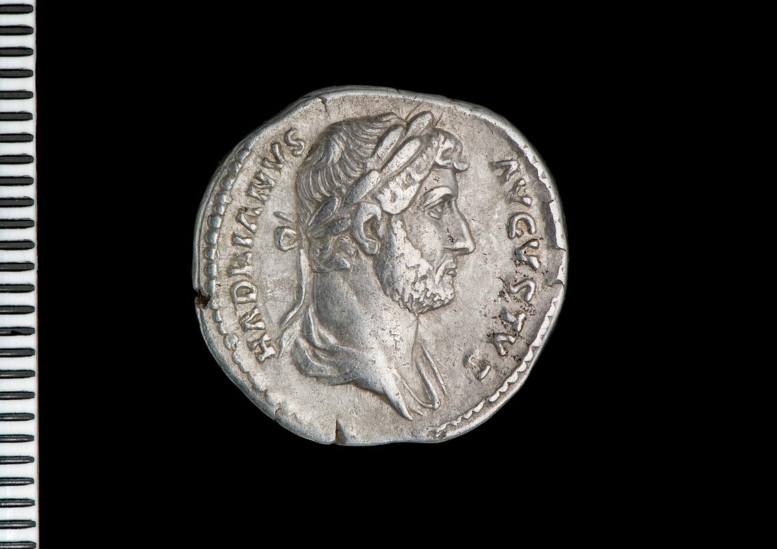 silver denarius (obv.)