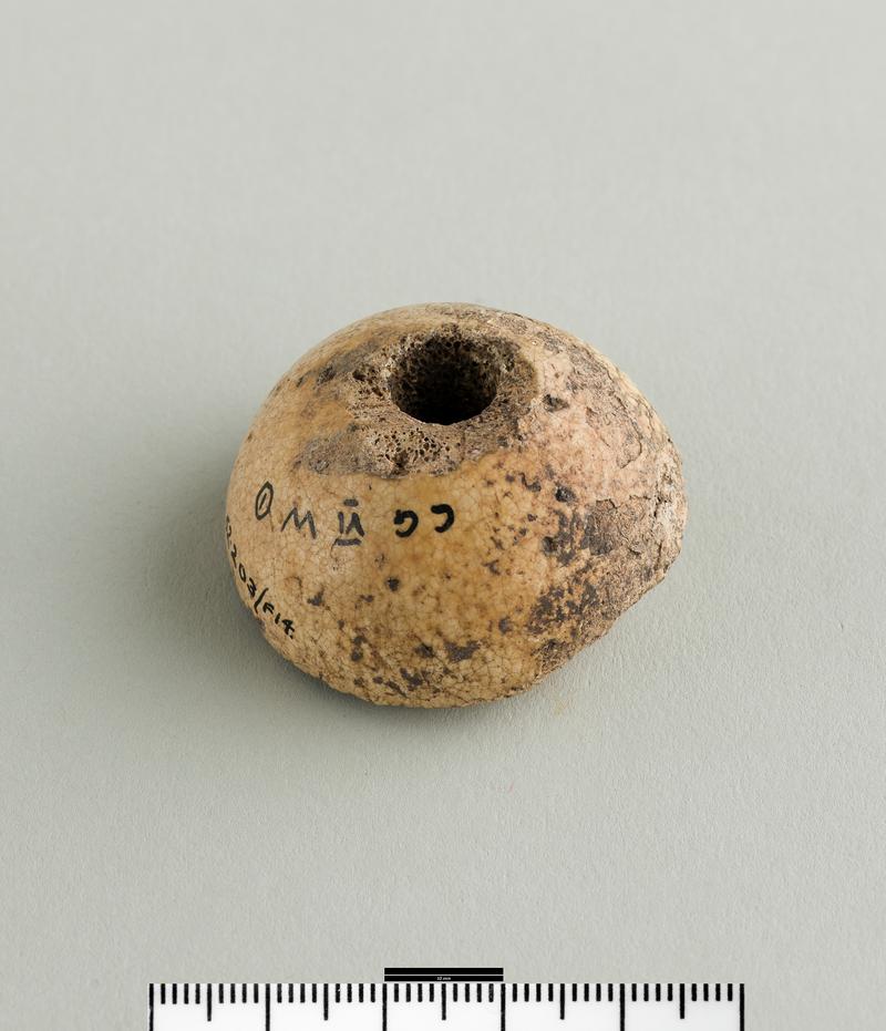 Early Medieval bone spindle whorl