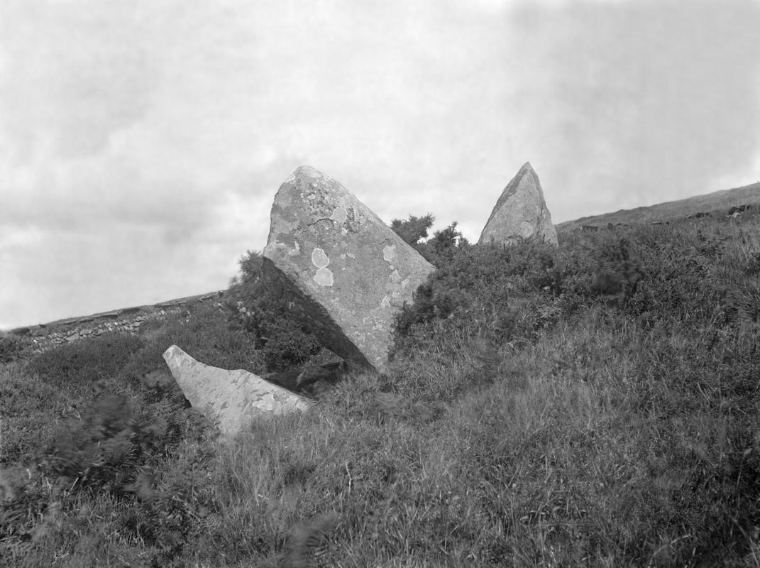 Photographic Negative