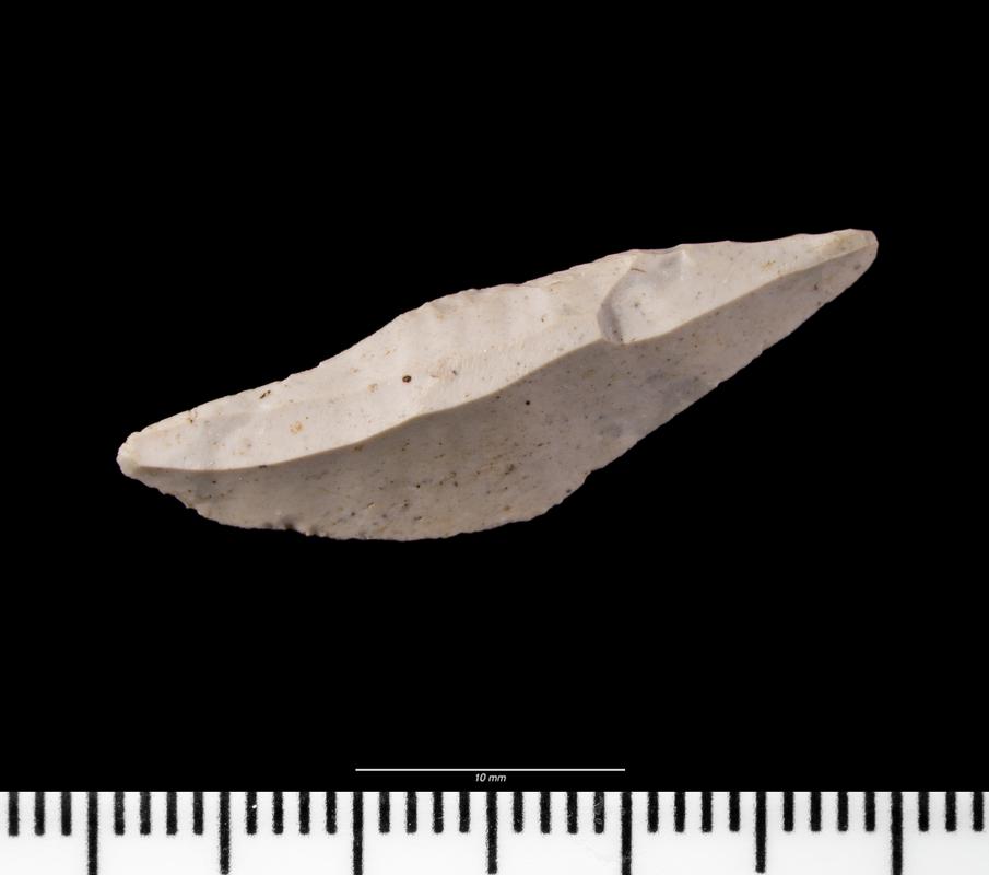 Early Mesolithic flint microlith