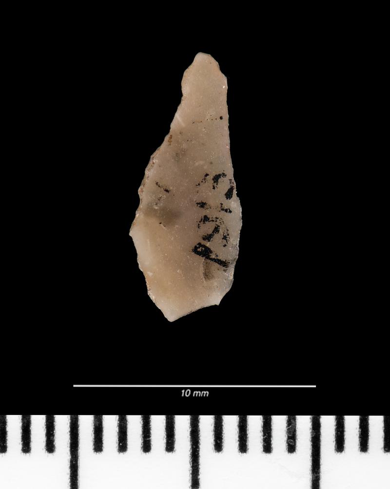 Mesolithic flint microlith