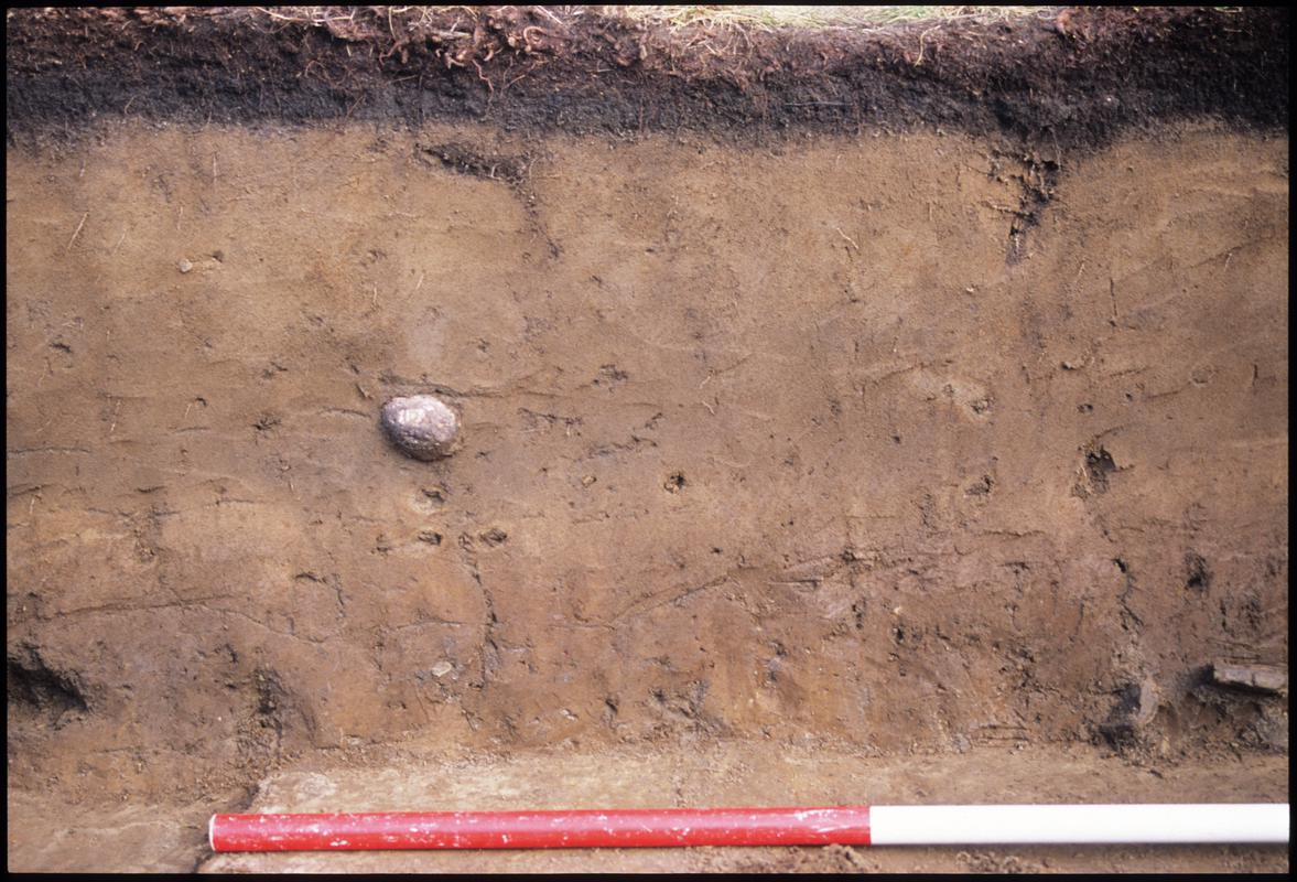 Burry Holms, Gower. 2001 Trench 4. Section at the east of the trench. Sequence shot 6.