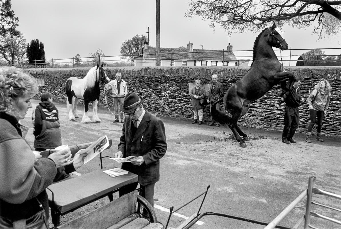 GB. WALES. Llanybyther horse fair on the last Thursday in each month is still one of the biggest in the country. 1994.