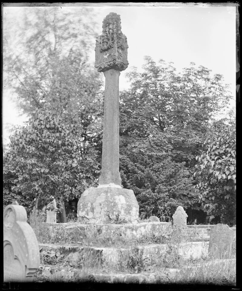 Photographic Negative