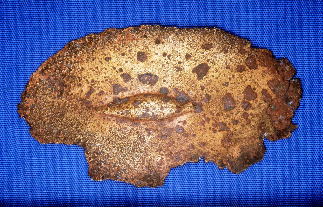 Iron Age copper alloy shield