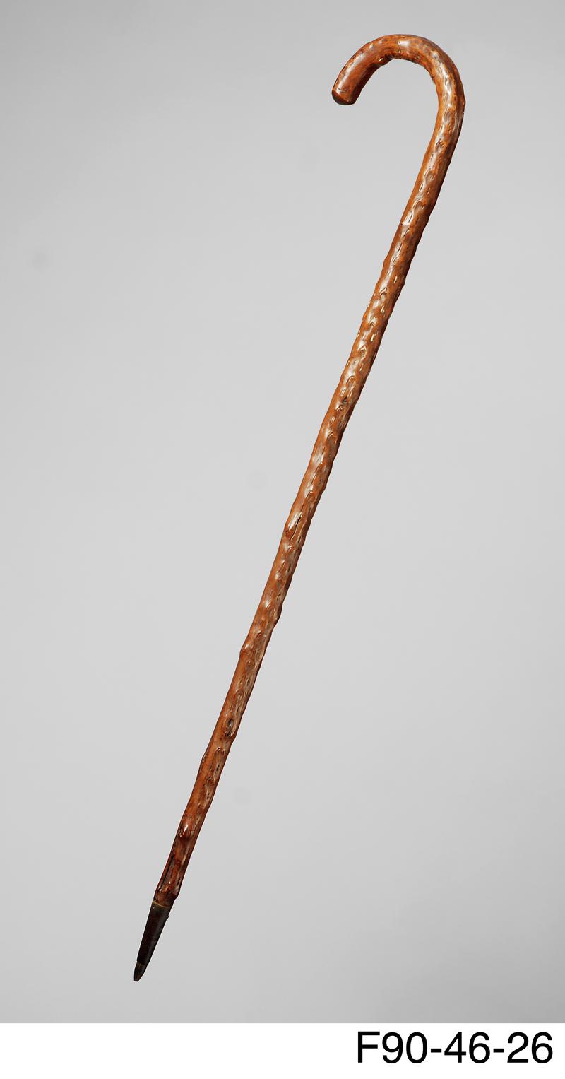 Walking stick