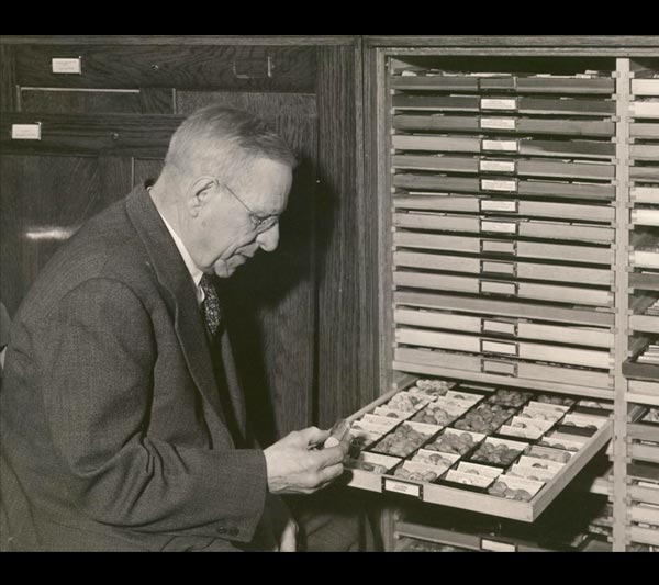 The American collector Frank Collins Baker in his collection.