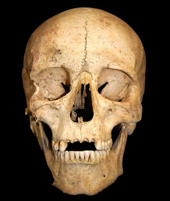 The face of a 6,000-year-old man | Museum Wales