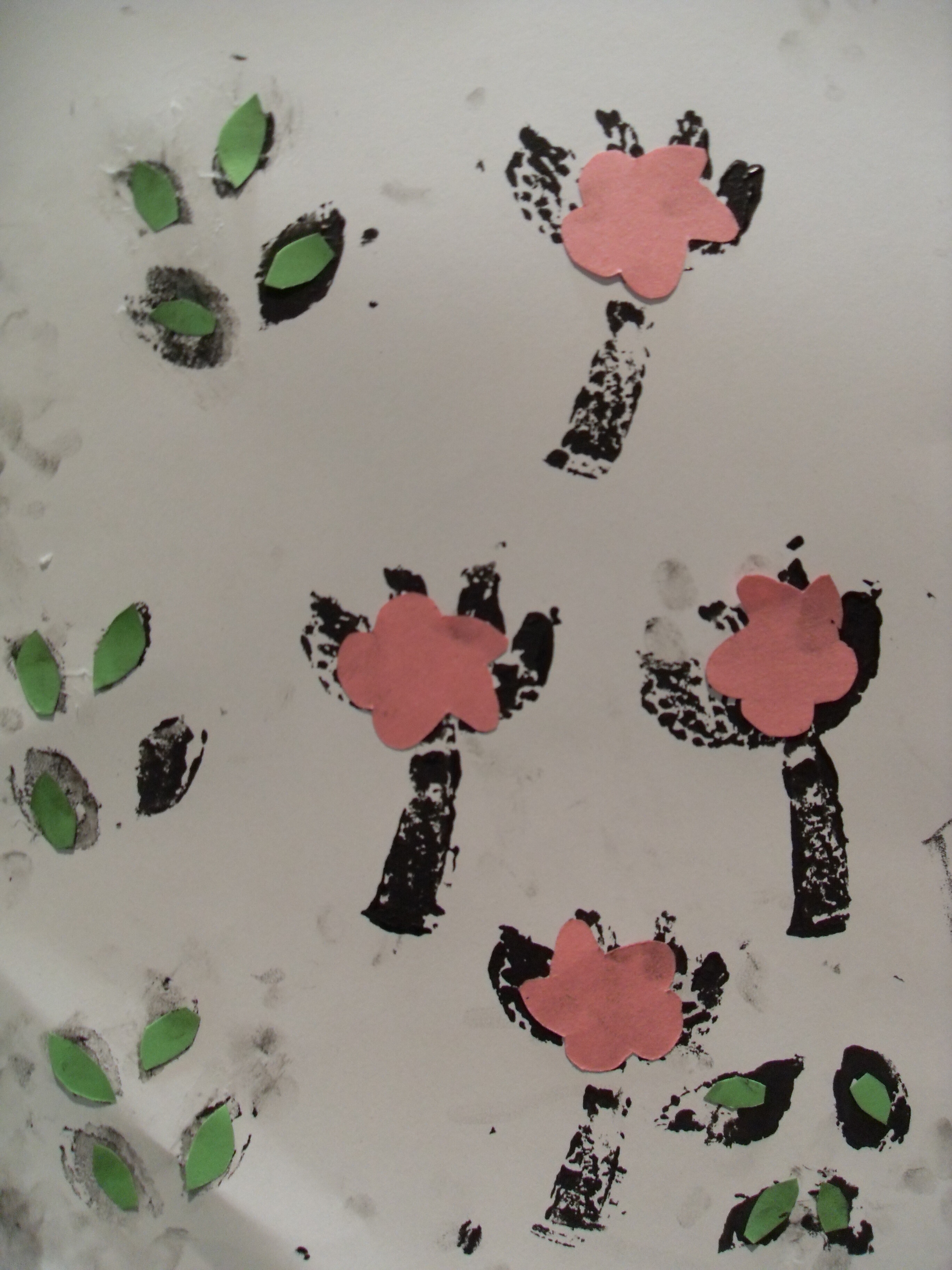 1950s designs