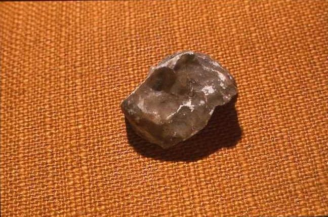 Hydrophobia stone from Henllan, Ceredigion