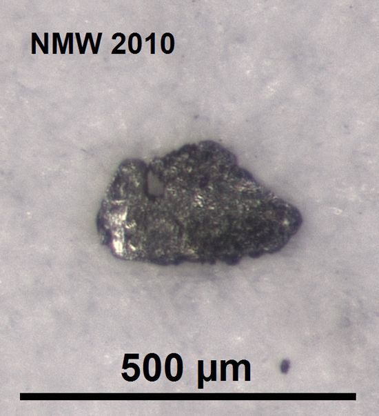 Pyroxene (scale: 50 microns)