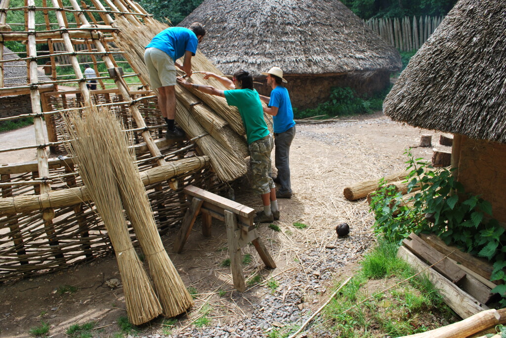 Thatching the roof