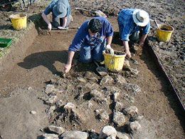 The enclosure wall revealed in Mark's trench.