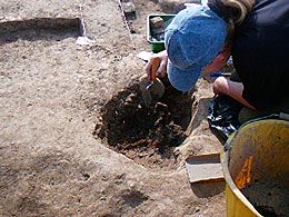 Beginning to reveal the burial in Mark Lodwick's trench.