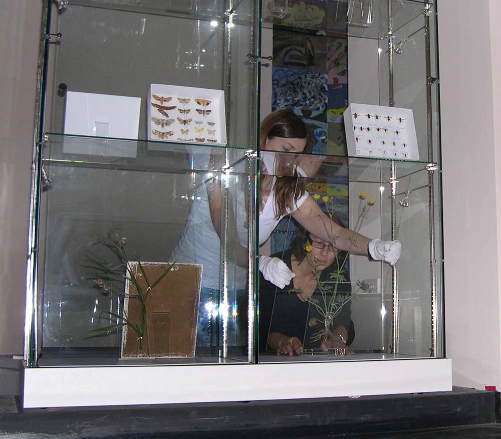 Plant models going on display