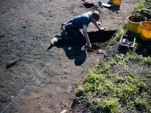 Archaeological features in the Spring trench