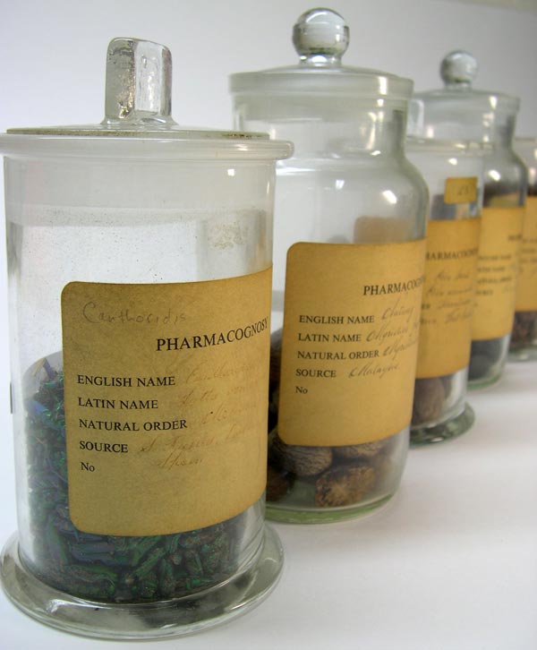 Some examples from the <em>materia medica</em> collection, stored in glass jars.