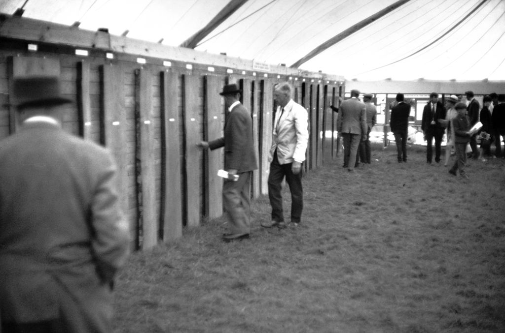 Timber exhibit at the Royal Welsh Show in 1968