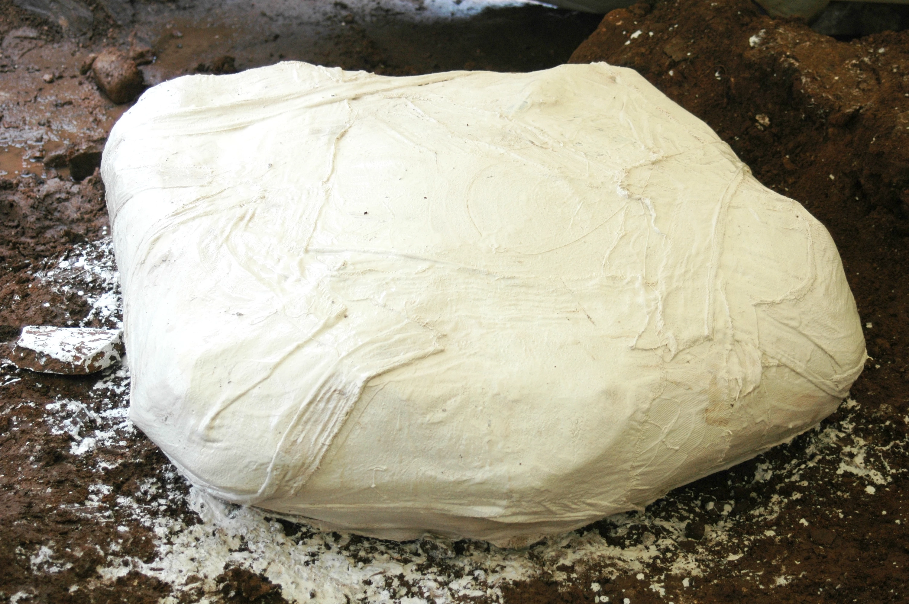 Soil block covered in plaster bandages (photograph courtesy of Mark Lewis)