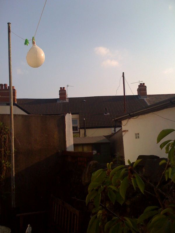 A pig's bladder football hanging on a washing line