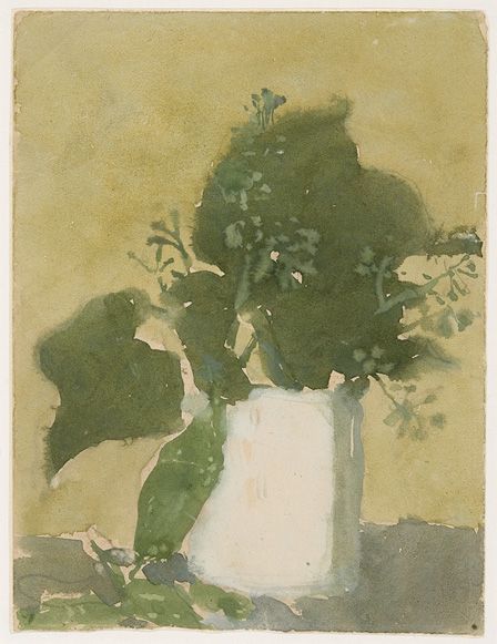 Green leaves in a white jug (w/c, gouache & pencil on paper)
