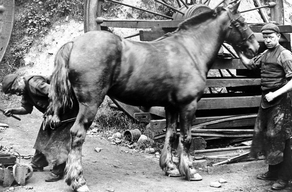 Blacksmith shoeing a horse at Lewis Merthyr colliery, c1910 (b/w photo)