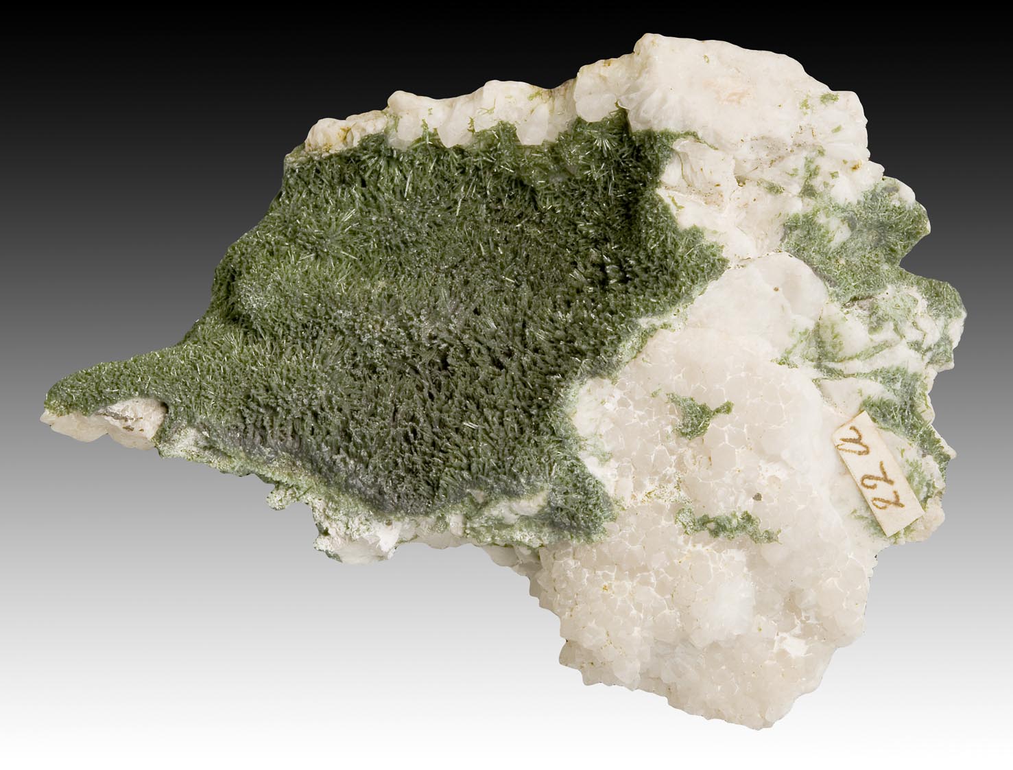 Olivenite on quartz from Cornwall, given to Henrietta by the Countess of Aylesford. Specimen 9 cm long. NMW 29.311.GR.80. 