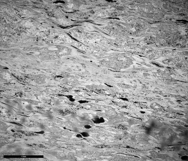 Microscopic view of the newly identified match to the Stonehenge bluestones