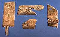 Fragments of bone comb from Llanbedrgoch