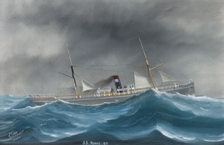 S.S. VENUS 1891