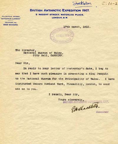 Letter from Sir Ernest Shackleton to the Director of the Museum.