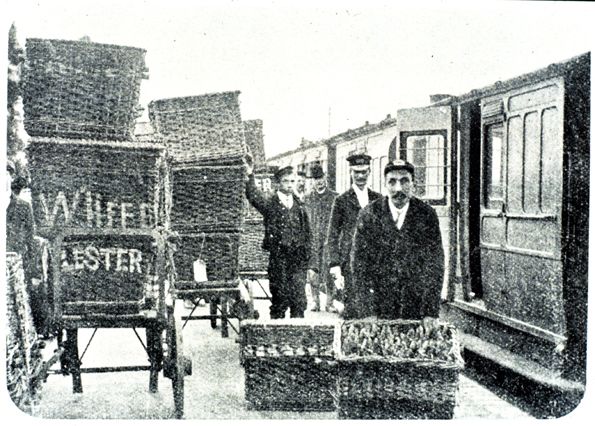Baskets of rabbits being loaded onto a train c.1930
