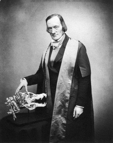 Sir Richard Owen in 1855 by Maull & Polyblank.