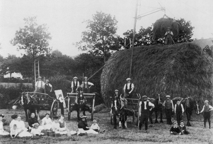 A haymaking scene at Aberdyfan, c.1910.