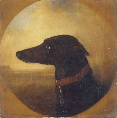 Portrait of a Greyhound: ""Bit O'Law"