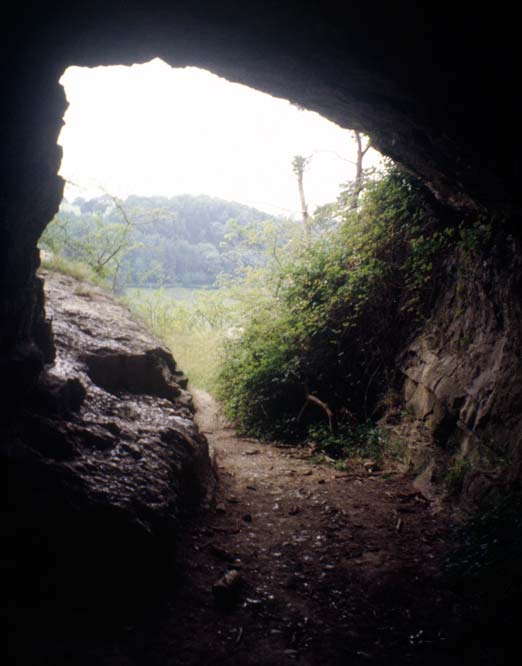 View from Cefn Cave