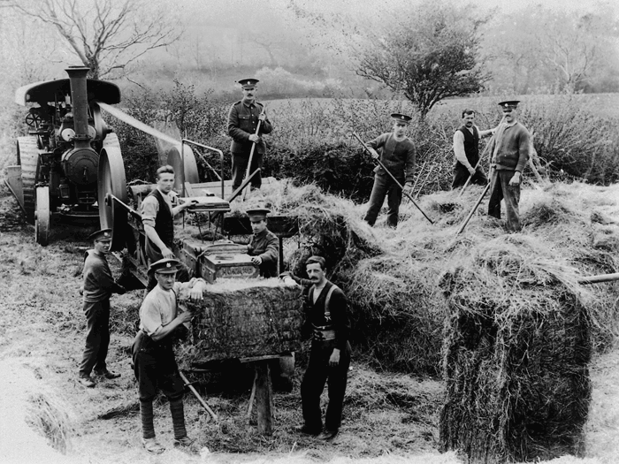 Soldiers at work bailing hay.