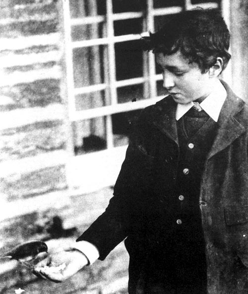 James Mathias, son of Tom Mathias, feeding a robin.