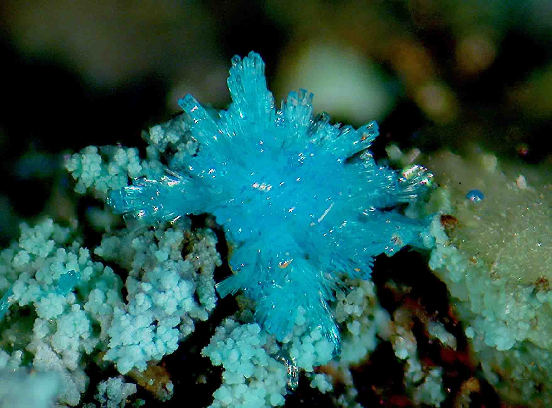 Mineral Database Mineralogy of Wales Museum Wales