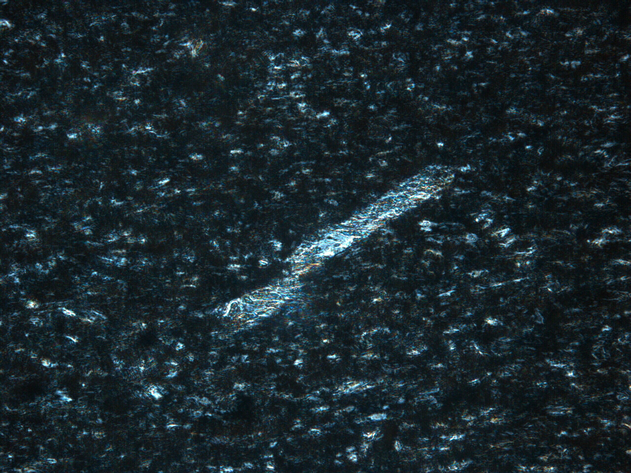 Chloritoid Thin Section