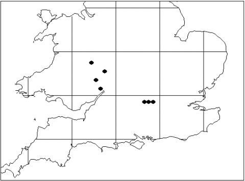 Distribution map of Ghost Orchids in Britain (all records: data courtesy of Botanical Society of the British Isles 2013).