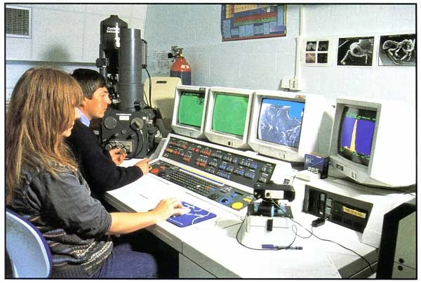 Analysing the samples using an Scanning Electron Microscope