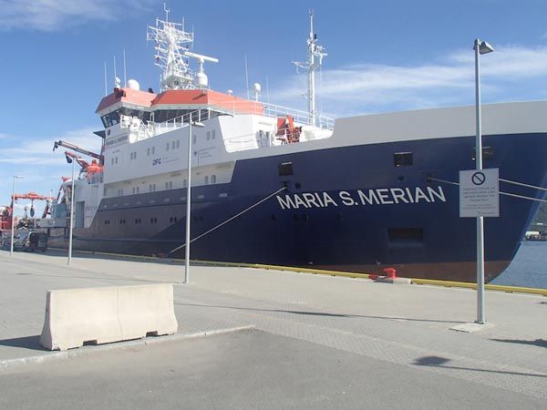 Maria S Merian