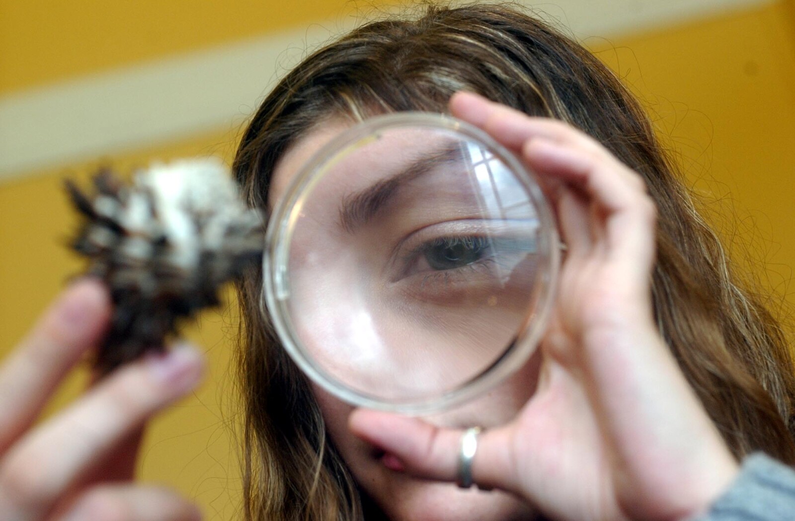 A girl looking at a shell through a magnifying glass.