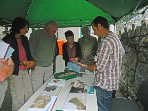 PAS Cymru Finds Co-ordinator conducting a find identification day at Penmaenmawr, Conwy